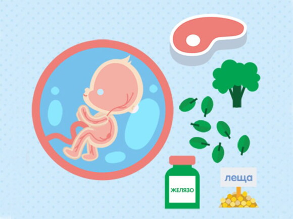 Основни хранителни вещества при бременност